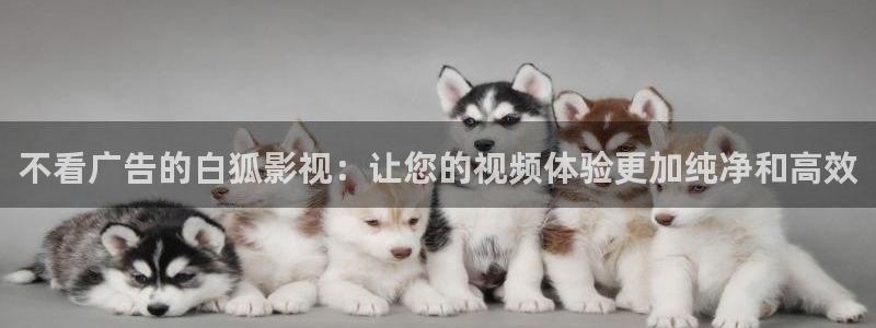 人人爱超碰