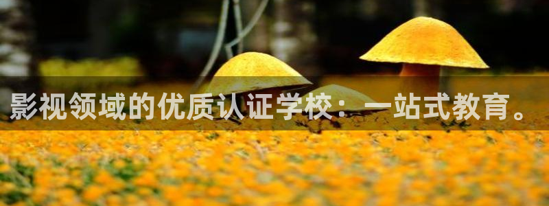 人人两性视频